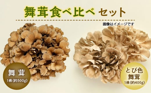 舞茸食べ比べセット