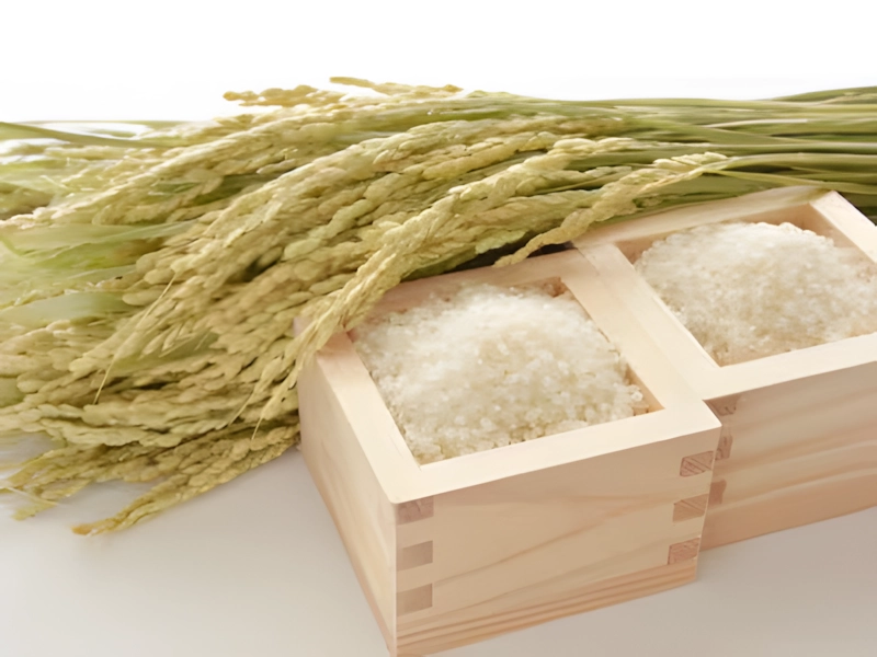 山形県産米10kg
