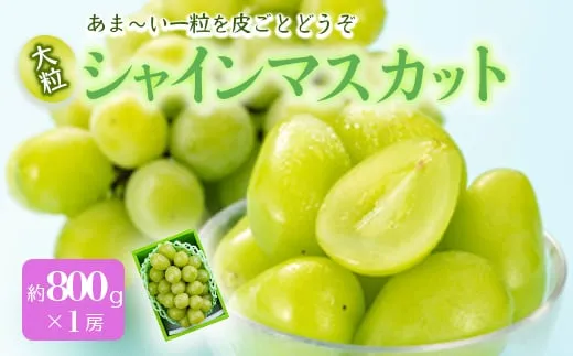 山形県産シャインマスカット